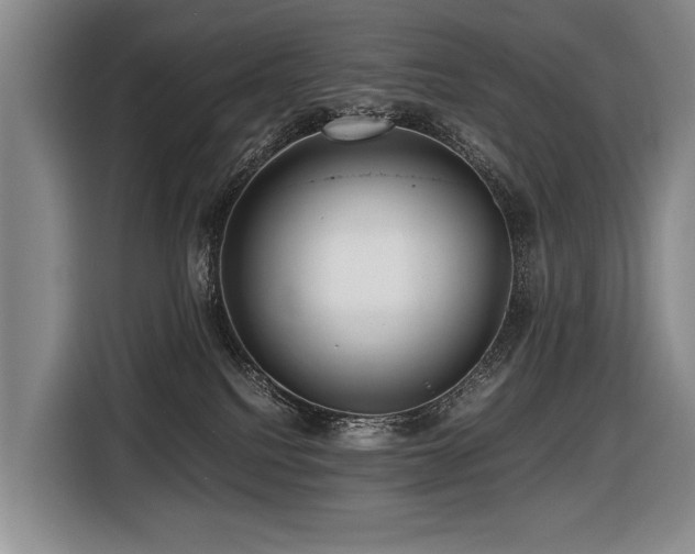 X0000116440088200912081606