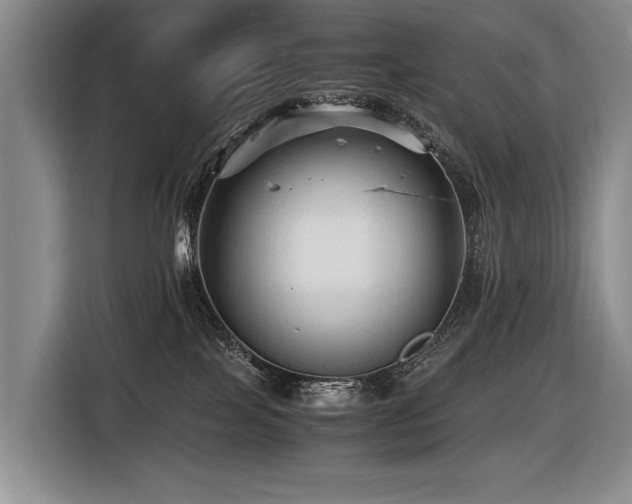 X0000116440089200912081606
