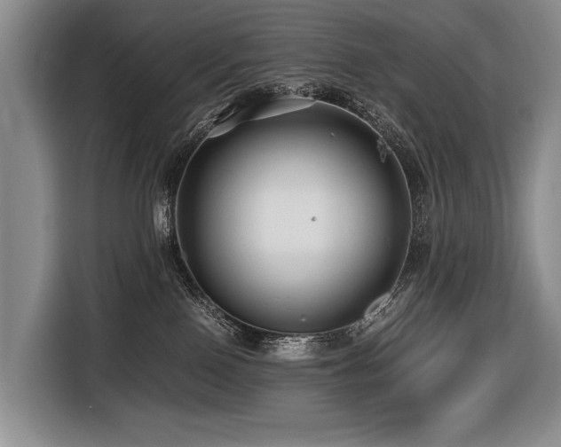 X0000116440090200912081606