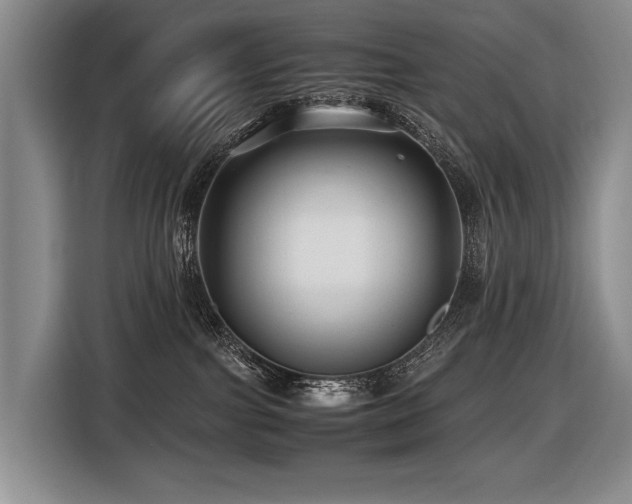 X0000116440091200912081606