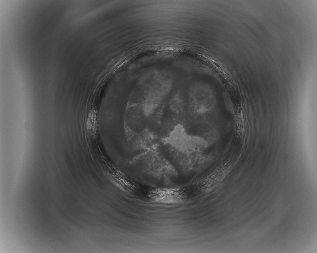X0000116440093200912081606