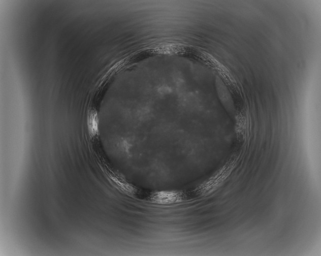 X0000116440095200912081606