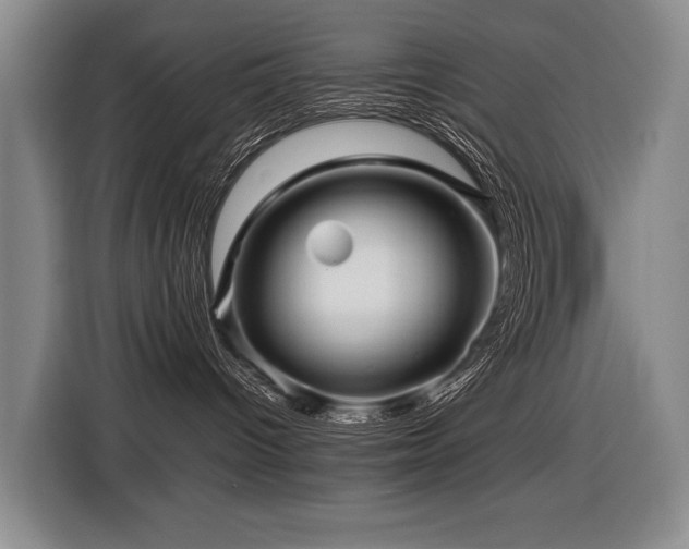 X0000116440096200912081606
