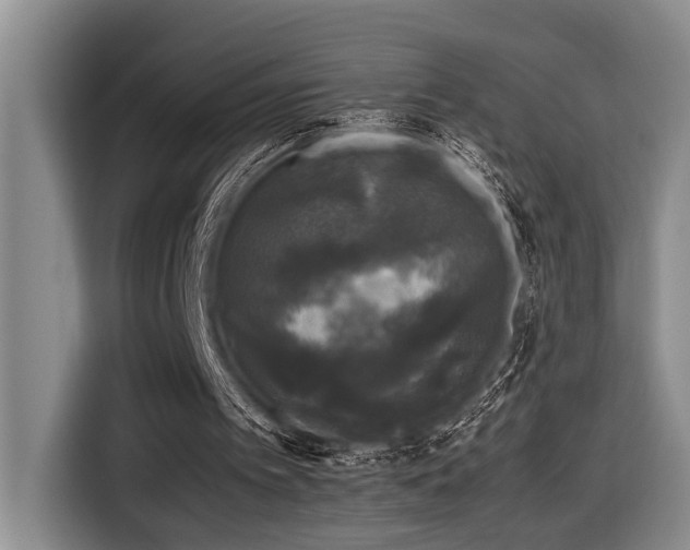 X0000116440097200912081605