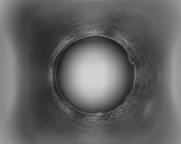 X0000116440098200912081605