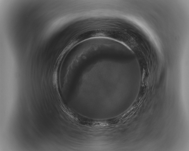 X0000116440099200912081605
