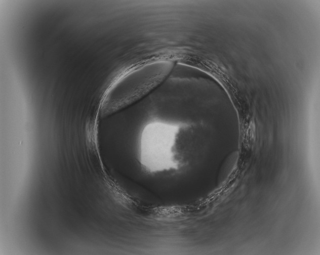X0000116440100200912081605