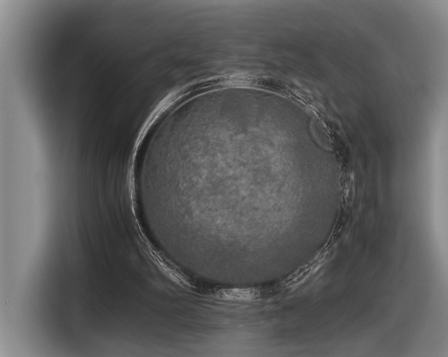 X0000116440102200912081605