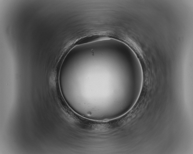 X0000116440107200912081605