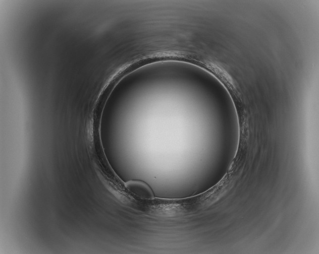 X0000116440108200912081605