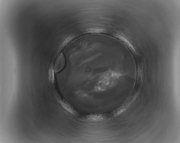 X0000116440110200912081605