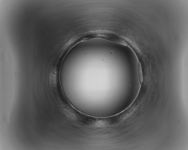 X0000116440111200912081605