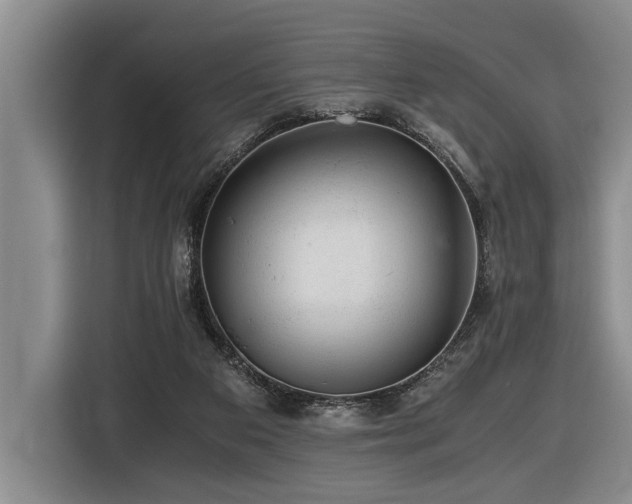 X0000116440113200912081605
