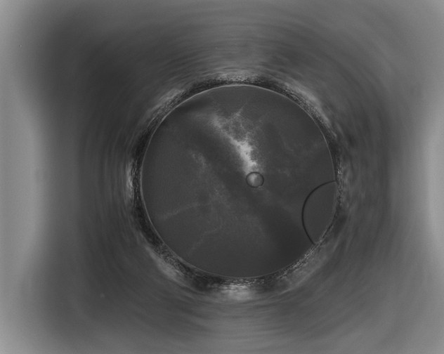 X0000116440114200912081605