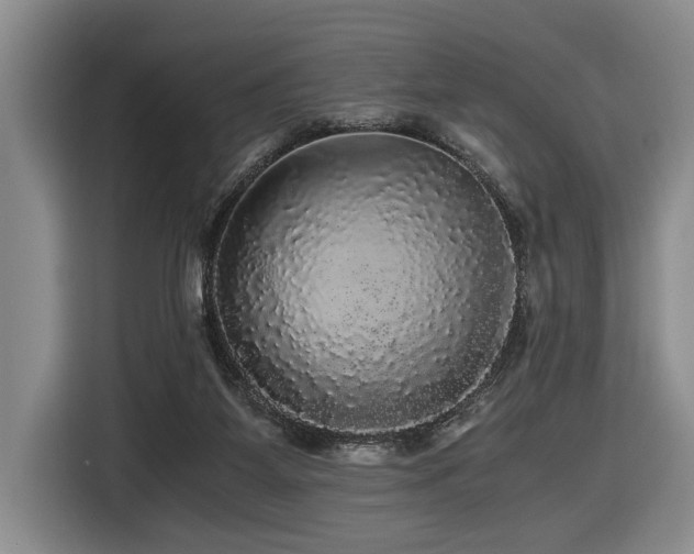 X0000116440115200912081605