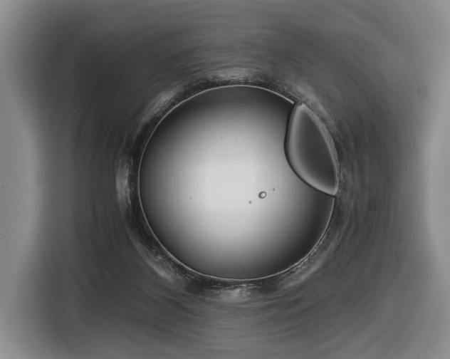 X0000116440116200912081605