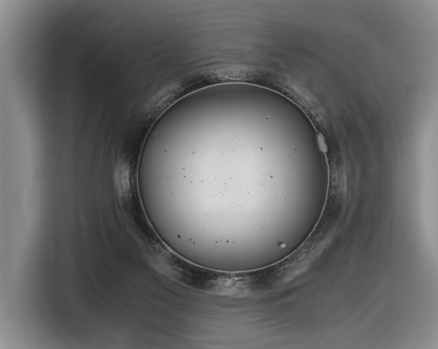 X0000116440117200912081605