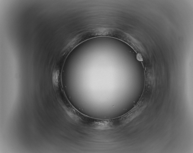 X0000116440118200912081605