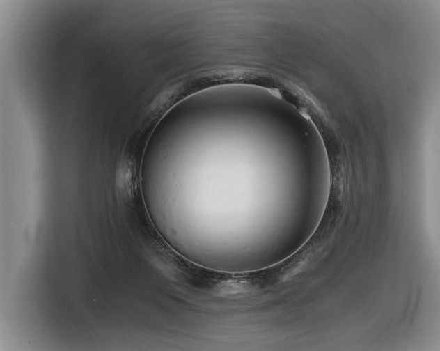 X0000116440119200912081605