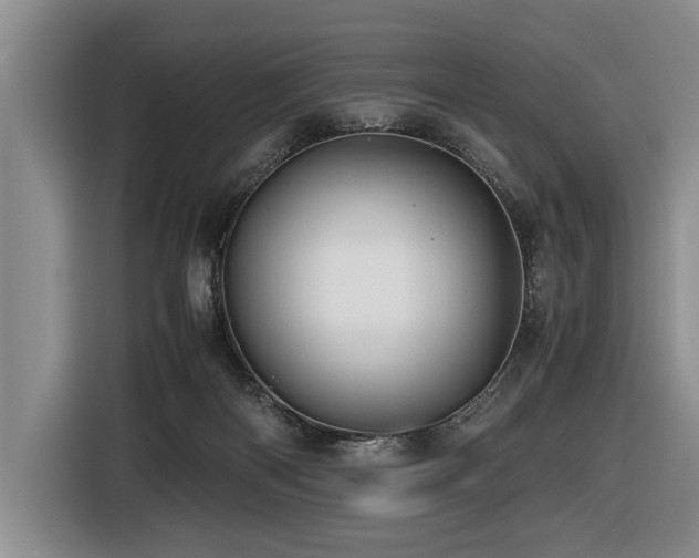 X0000116440122200912081605