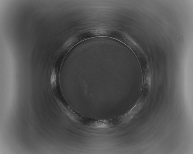 X0000116440124200912081605