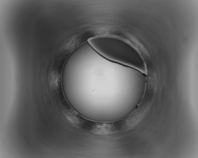 X0000116440125200912081605