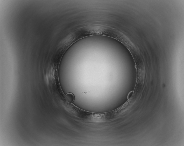X0000116440126200912081605
