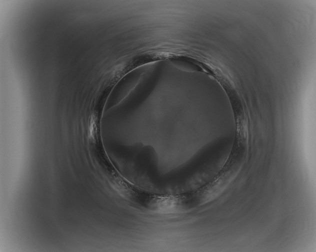 X0000116440127200912081605