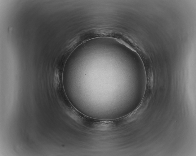 X0000116440128200912081605