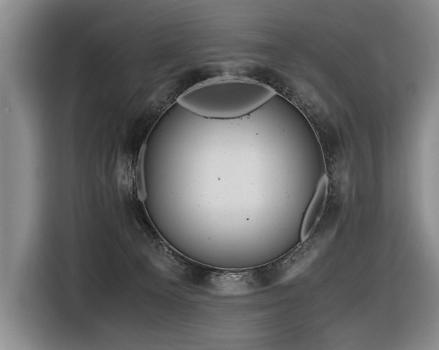 X0000116440129200912081604
