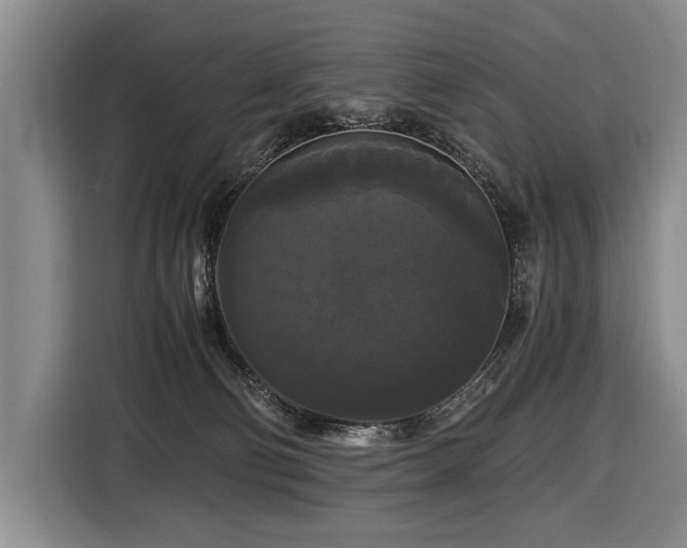 X0000116440130200912081604