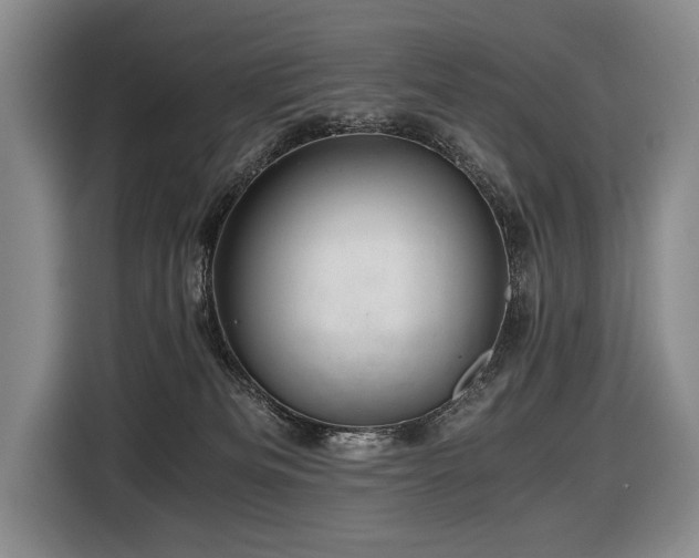 X0000116440133200912081604