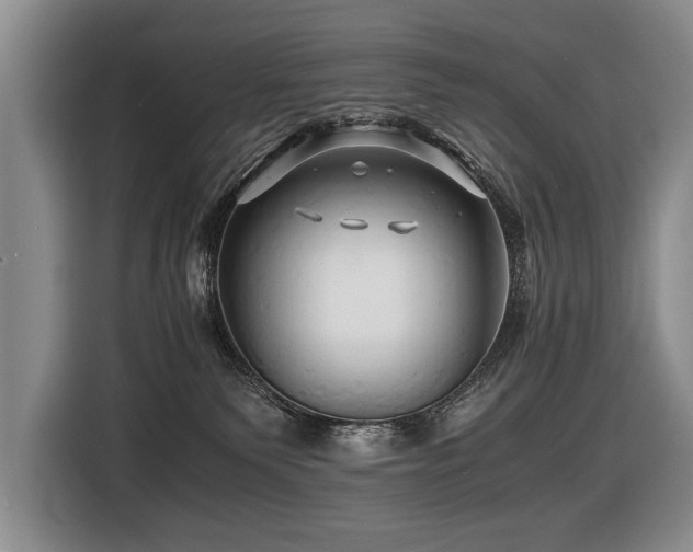 X0000116440135200912081604
