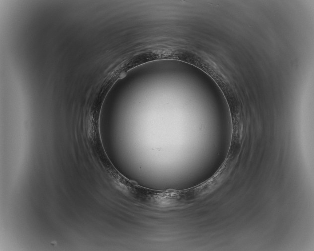 X0000116440136200912081604