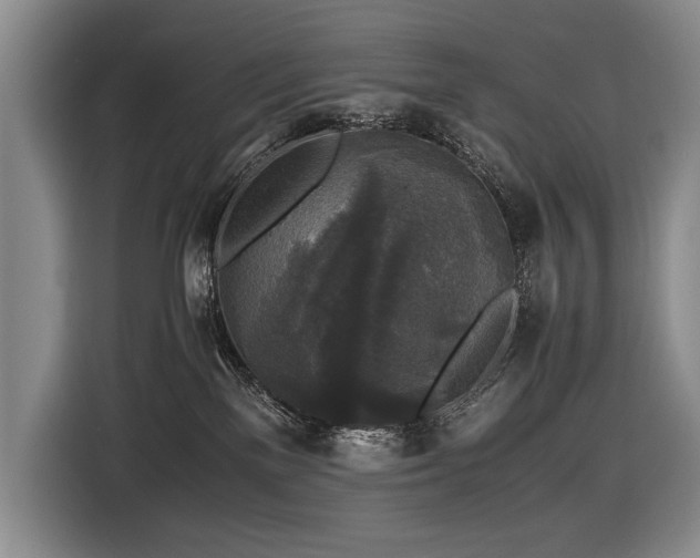 X0000116440137200912081604