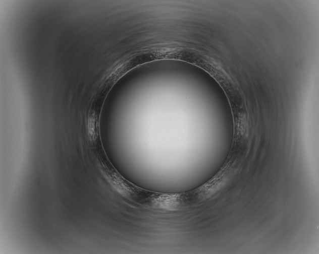 X0000116440138200912081604