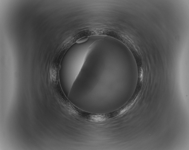 X0000116440139200912081604