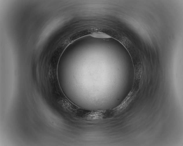 X0000116440140200912081604