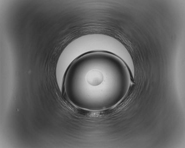 X0000116440141200912081604