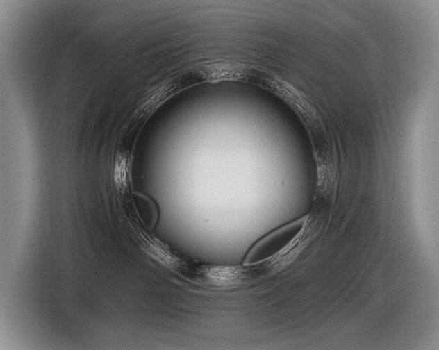 X0000116440142200912081604