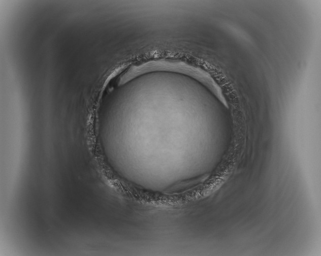 X0000116440144200912081604