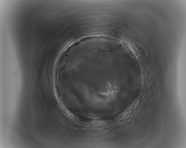 X0000116440145200912081604