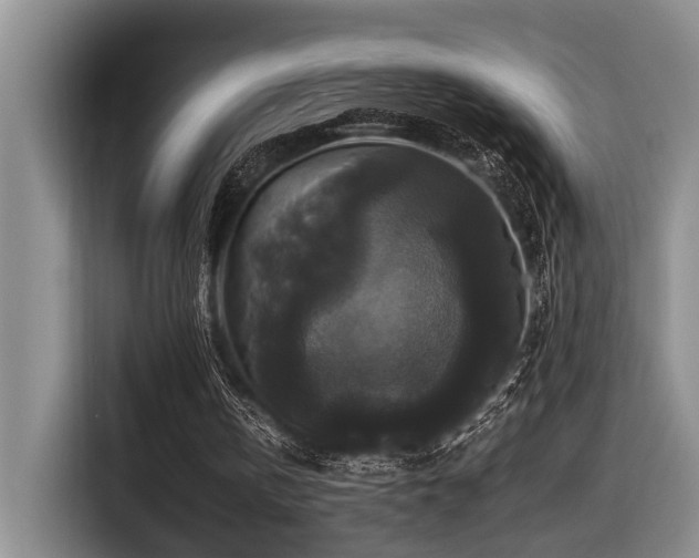 X0000116440146200912081604