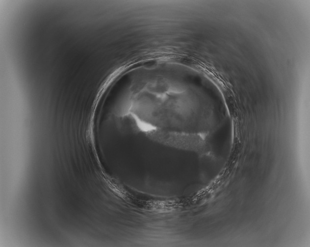 X0000116440147200912081604