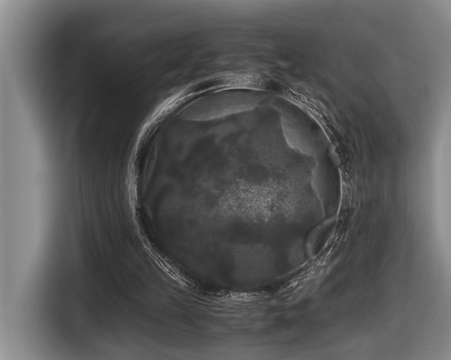 X0000116440149200912081604