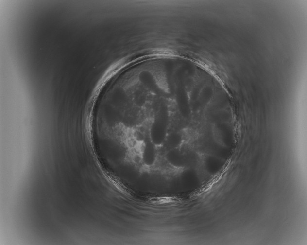 X0000116440151200912081604
