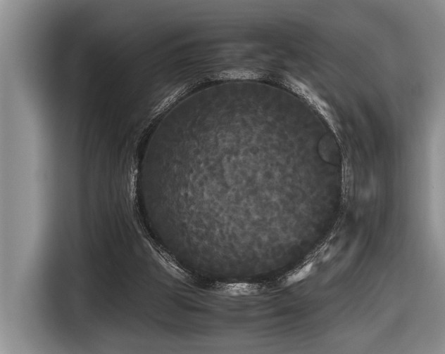 X0000116440153200912081604