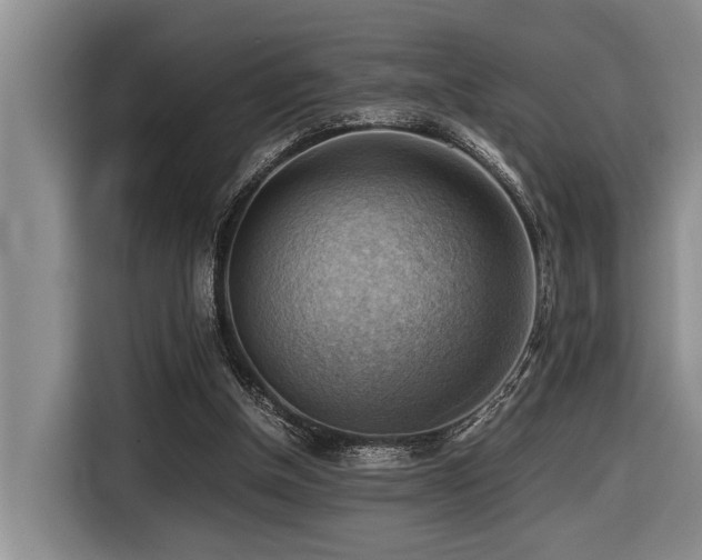 X0000116440154200912081604