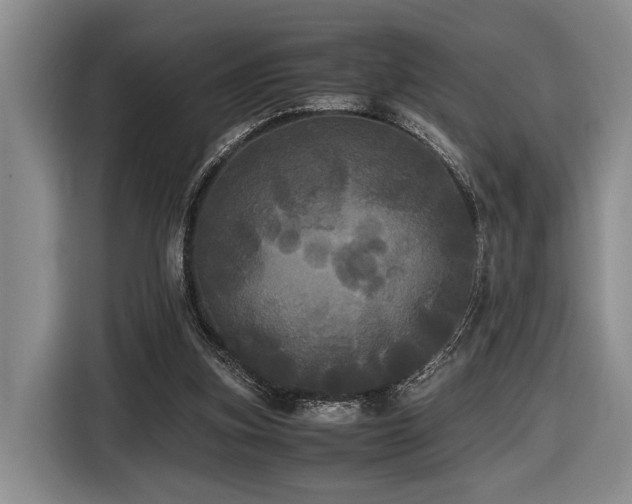 X0000116440155200912081604