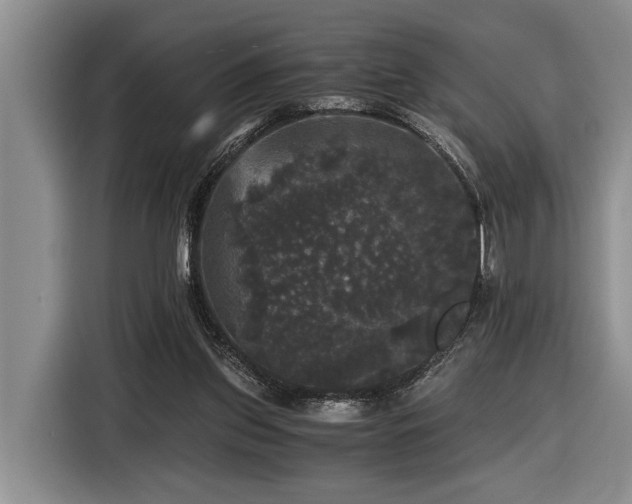 X0000116440157200912081604